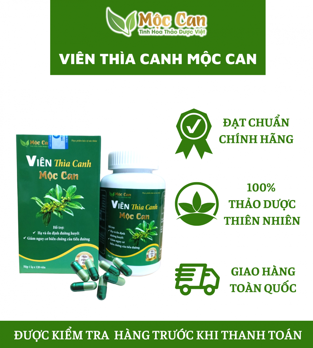 Cây dây thìa canh  3